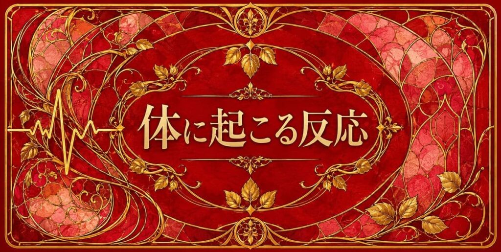 色彩心理 赤の生理的作用を示す体に起こる反応セクションバナー